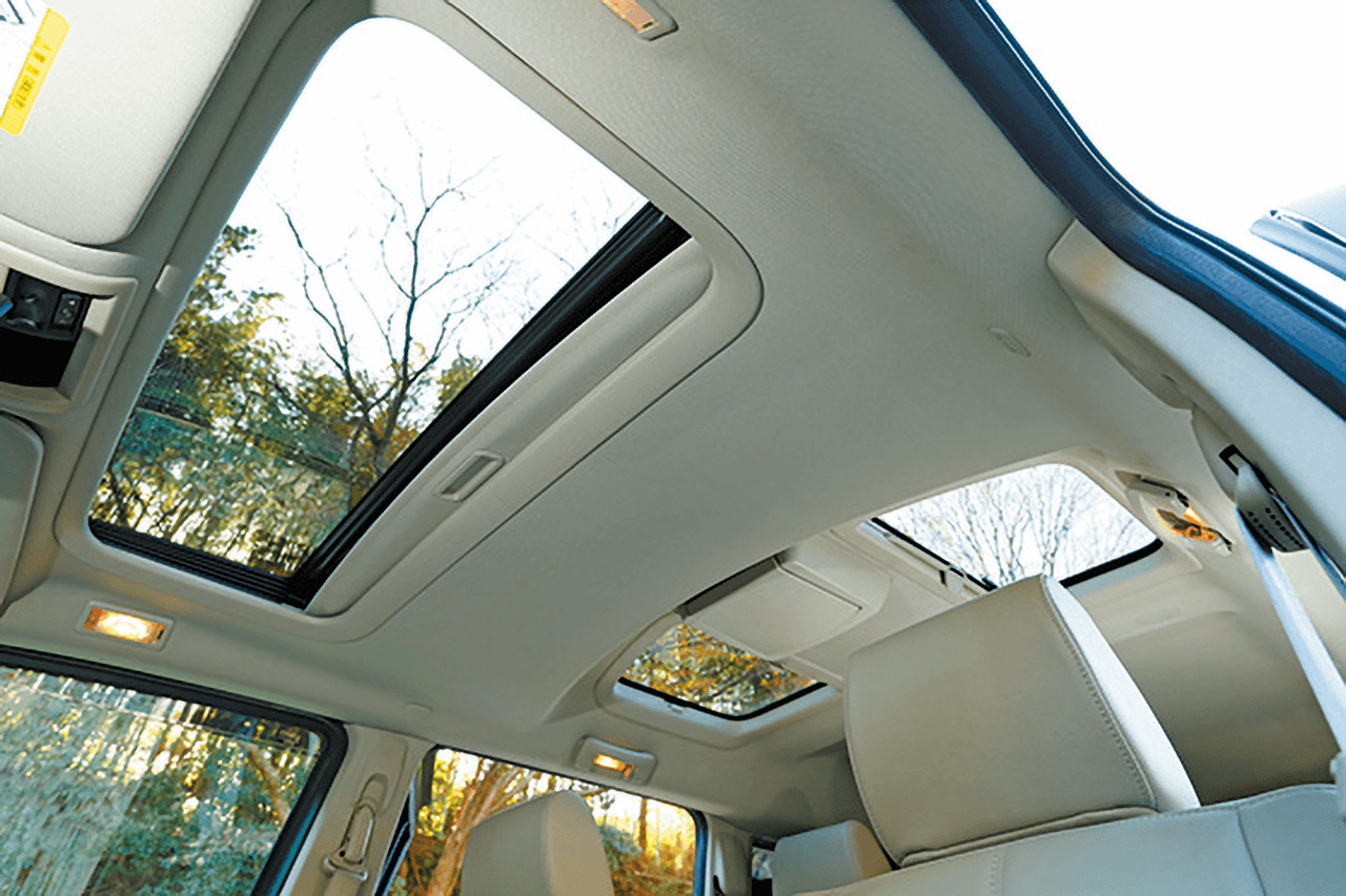 Fall leaves of Autumn Touring by Jeep