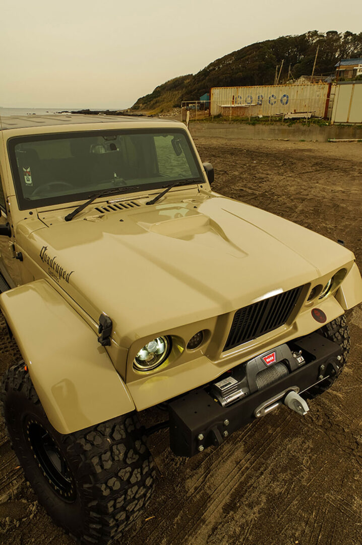 Quadruped Custom