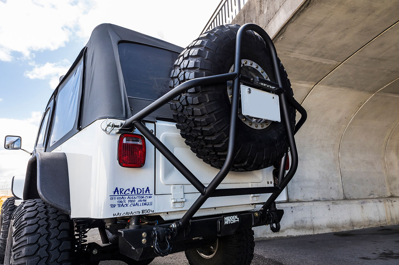 1981 JEEP CJ-8 by HALL SHOT